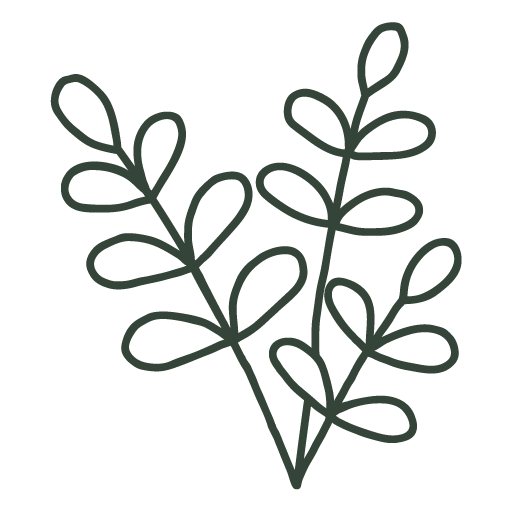 Leafy plant illustration